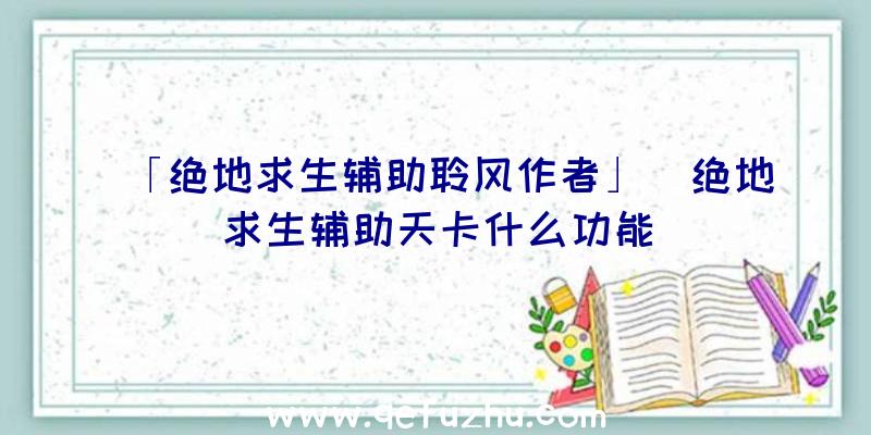 「绝地求生辅助聆风作者」|绝地求生辅助天卡什么功能